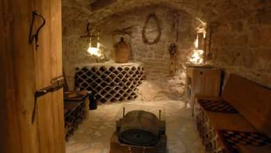 Villa Vatican Trpanj Peljesac 9