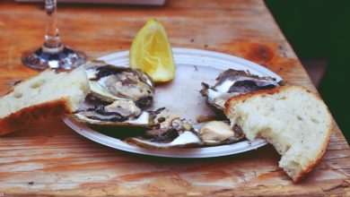 Festival of Oysters 37