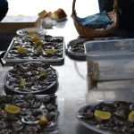 Festival of Oysters 48