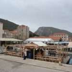 Festival of Oysters 50