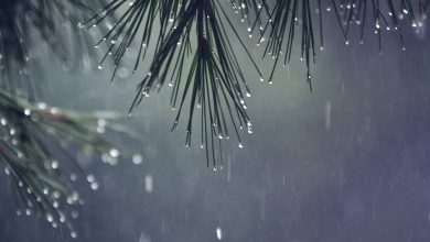 AccuWeather Launched the Autumn Forecast: Stormy Weather or Warmth Rollin'? 1 Autumn 2