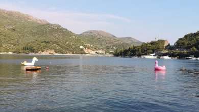 Tie Up Your Pink Flamingo! 10 Buoy Tie Up Your Unicorn