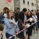 Dubrovnik Table Good Food 22