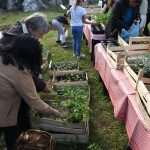 Video & Photo Gallery: Waiting for the Easter 18 Easter Osojnik 39