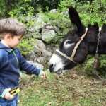 Video & Photo Gallery: Waiting for the Easter 52 Easter Osojnik 5