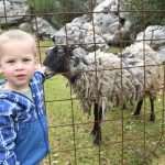 Video & Photo Gallery: Waiting for the Easter 2 Easter Osojnik 55