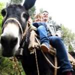 Video & Photo Gallery: Waiting for the Easter 51 Easter Osojnik 6