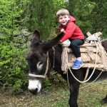 Video & Photo Gallery: Waiting for the Easter 49 Easter Osojnik 8