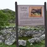 Easter in Primorje 41