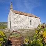 Museum Dedicated to Wine to Be Opened on Pelješac 1 PZ Putnikovic 1