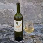 Museum Dedicated to Wine to Be Opened on Pelješac 2 PZ Putnikovic 2