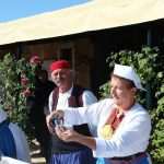 Photo Gallery: Grape Harvesting in Konavle 1 Grape Harvesting in Konavle 1