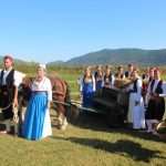 Photo Gallery: Grape Harvesting in Konavle 14 Grape Harvesting in Konavle 14