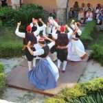 Photo Gallery: Grape Harvesting in Konavle 18 Grape Harvesting in Konavle 18