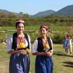 Photo Gallery: Grape Harvesting in Konavle 23 Grape Harvesting in Konavle 23