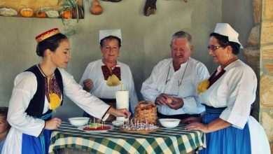 Photo Gallery: Grape Harvesting in Konavle 29 Grape Harvesting in Konavle Main
