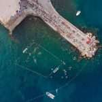 Sports, Art and Much More: 95 Years of Water Polo Club Jug 9 Water Polo Club Jug 95 Years 4