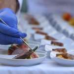 Video & Photo Gallery: Dubrovnik Table 19 Dubrovnik Table 19