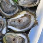 Video & Photo Gallery: Dubrovnik Table 29 Dubrovnik Table 29