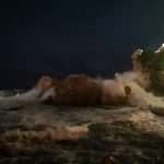 Video & Photo Gallery: The Force of Nature 12 Jugo November 2019 13