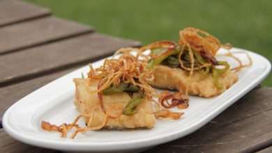 fish illustration pixabay