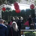 Winter Magic Continues: Amazing Violinmusic4all Project 6 Violin Music 4 All 13