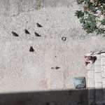 Just an Ordinary Day 28