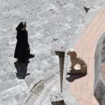 Just an Ordinary Day 9