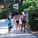 Lokrum, the Oasis of Peace and Serenity in Dubrovnik’s Reach 43 Lokrum