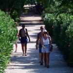 Lokrum, the Oasis of Peace and Serenity in Dubrovnik’s Reach 32 Lokrum