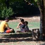 Lokrum, the Oasis of Peace and Serenity in Dubrovnik’s Reach 30 Lokrum