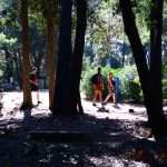 Lokrum, the Oasis of Peace and Serenity in Dubrovnik’s Reach 15 Lokrum