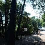 Lokrum, the Oasis of Peace and Serenity in Dubrovnik’s Reach 14 Lokrum