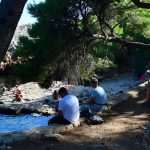 Lokrum, the Oasis of Peace and Serenity in Dubrovnik’s Reach 10 Lokrum