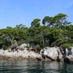 Lokrum: What Better Place for Late Summer Days 11 Lokrum 10