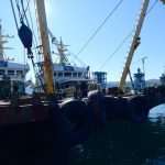 Works in Full Swing: Pelješac Bridge to be Completed Next July 46 Peljesac Bridge