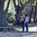 Although November, Our Sunny Lokrum Gallery Still Screams Summer 11 Lokrum