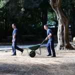 Although November, Our Sunny Lokrum Gallery Still Screams Summer 15 Lokrum