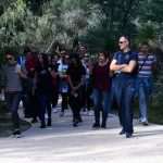 Although November, Our Sunny Lokrum Gallery Still Screams Summer 18 Lokrum