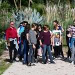 Although November, Our Sunny Lokrum Gallery Still Screams Summer 19 Lokrum