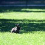 Although November, Our Sunny Lokrum Gallery Still Screams Summer 24 Lokrum