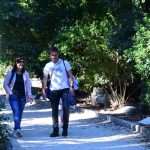 Although November, Our Sunny Lokrum Gallery Still Screams Summer 25 Lokrum