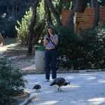 Although November, Our Sunny Lokrum Gallery Still Screams Summer 39 Lokrum