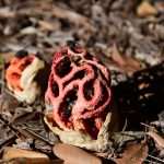 Although November, Our Sunny Lokrum Gallery Still Screams Summer 6 Lokrum