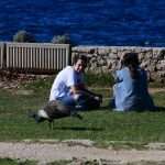 Although November, Our Sunny Lokrum Gallery Still Screams Summer 9 Lokrum