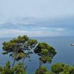 Stunning Even Between the Raindrops 6 Dubrovnik 4