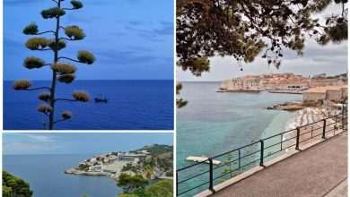 Stunning Even Between the Raindrops 22 Dubrovnik 7