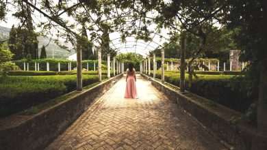 renaissance garedn dubrovnik