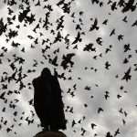 pidgeons gundulic square 1