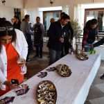 Uniqueness of Mali Ston Oyster's Taste in Signature Dishes by Hrvoje Zirojević 3 Mali Ston Oyster Project Event Lab 2